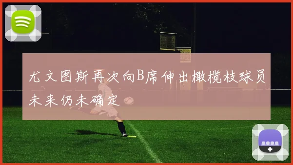 尤文图斯再次向B席伸出橄榄枝球员未来仍未确定